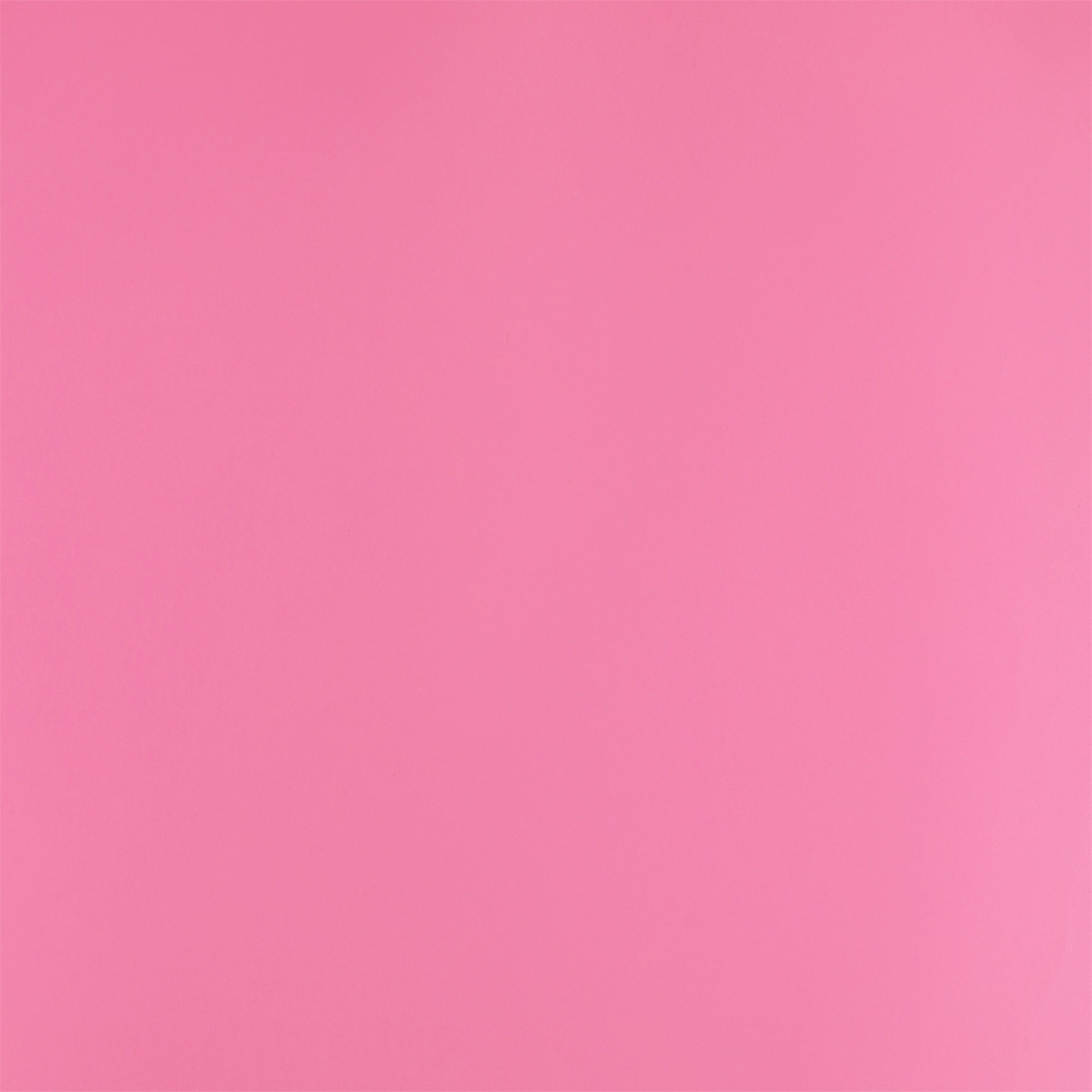 Pink Photography Backdrop Baby Pink Smooth Backdrop UK GTY2-160