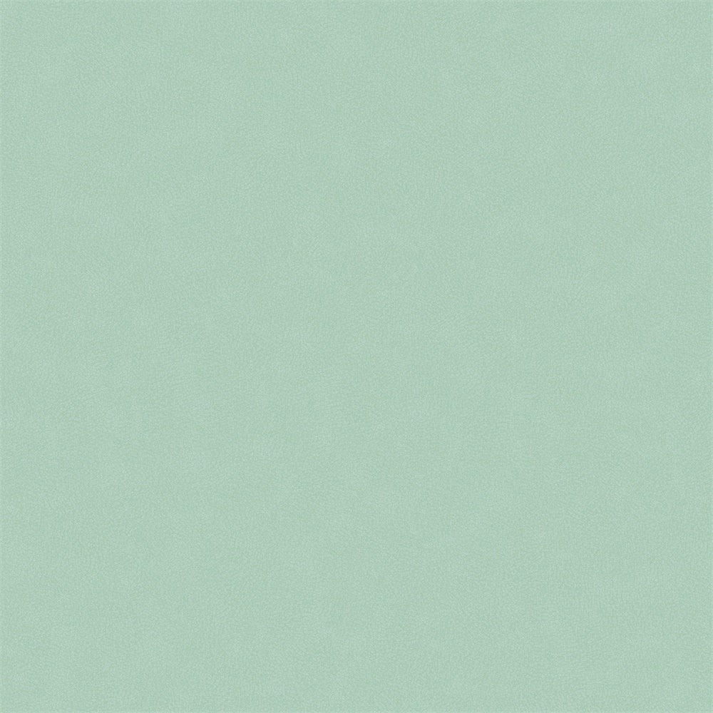 Light Green Backdrop Soft Mint Pastel Texture Backdrop UK GTY3-105