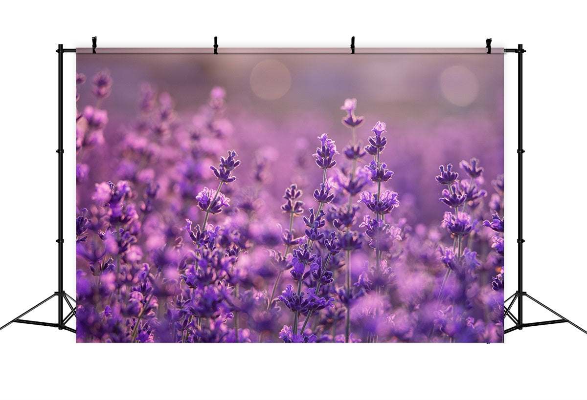 Purple Flowers Backdrop Gentle Violet Meadow Backdrop UK GTY3-32