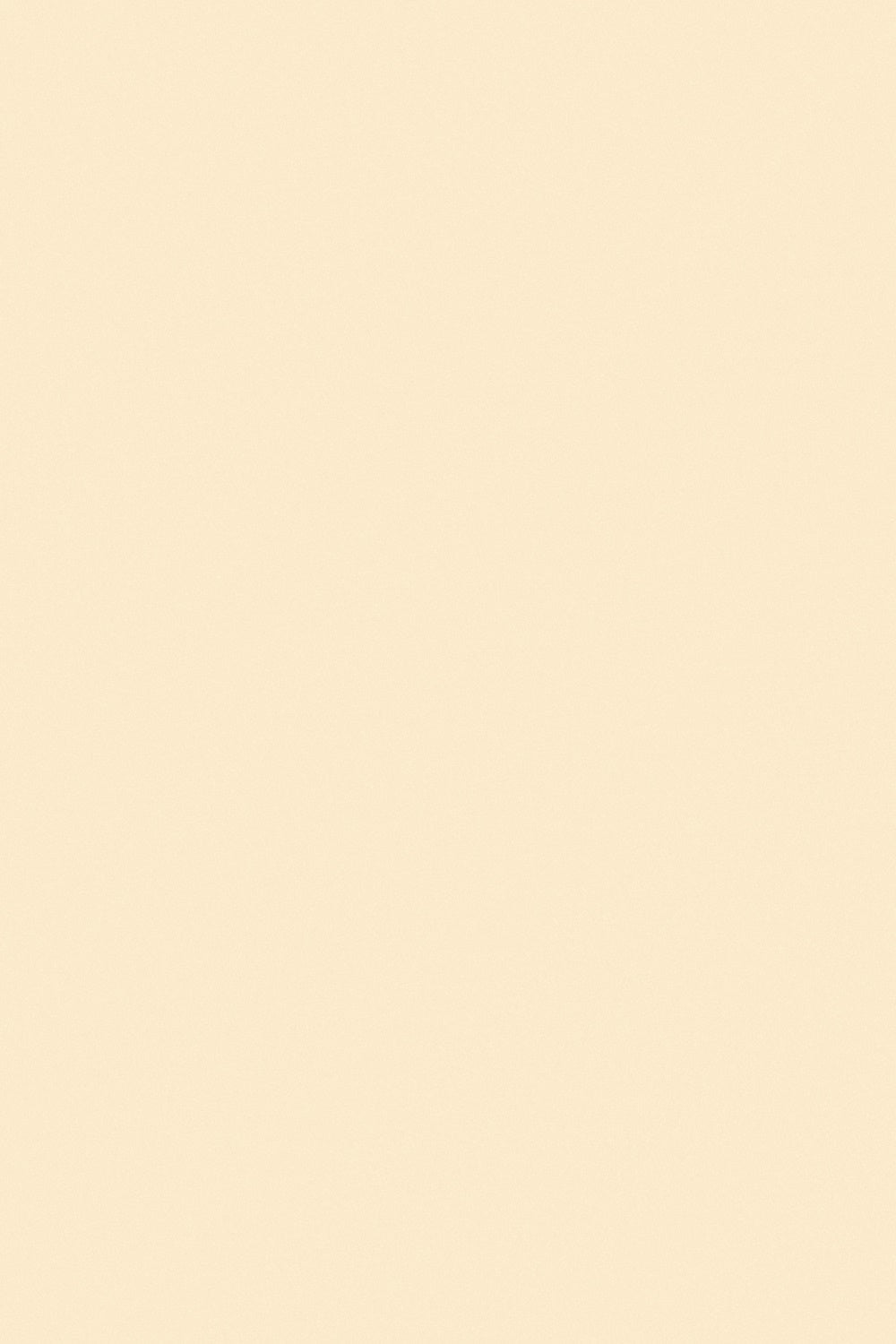 School Photo Backdrop Beige Cream Studio Backdrop UK GTY3-332
