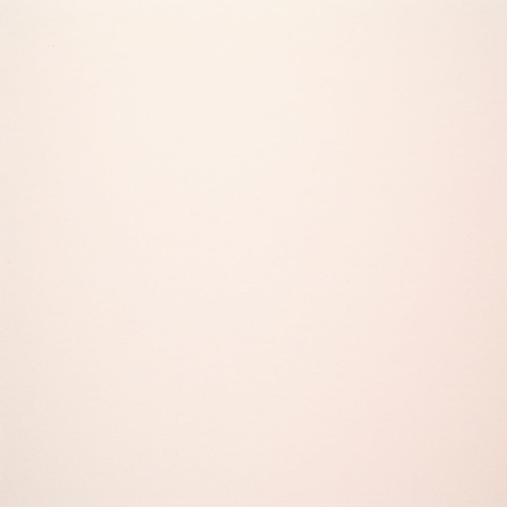 Backdrop For Headshots Soft Beige Minimalist Backdrop UK GTY3-349