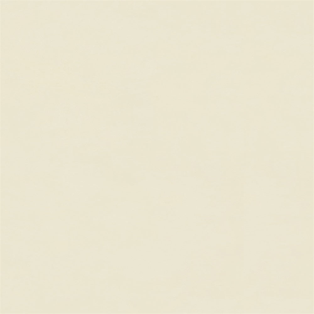 Professional Graduation Photo Backdrop Butter Cream Backdrop UK GTY3-354