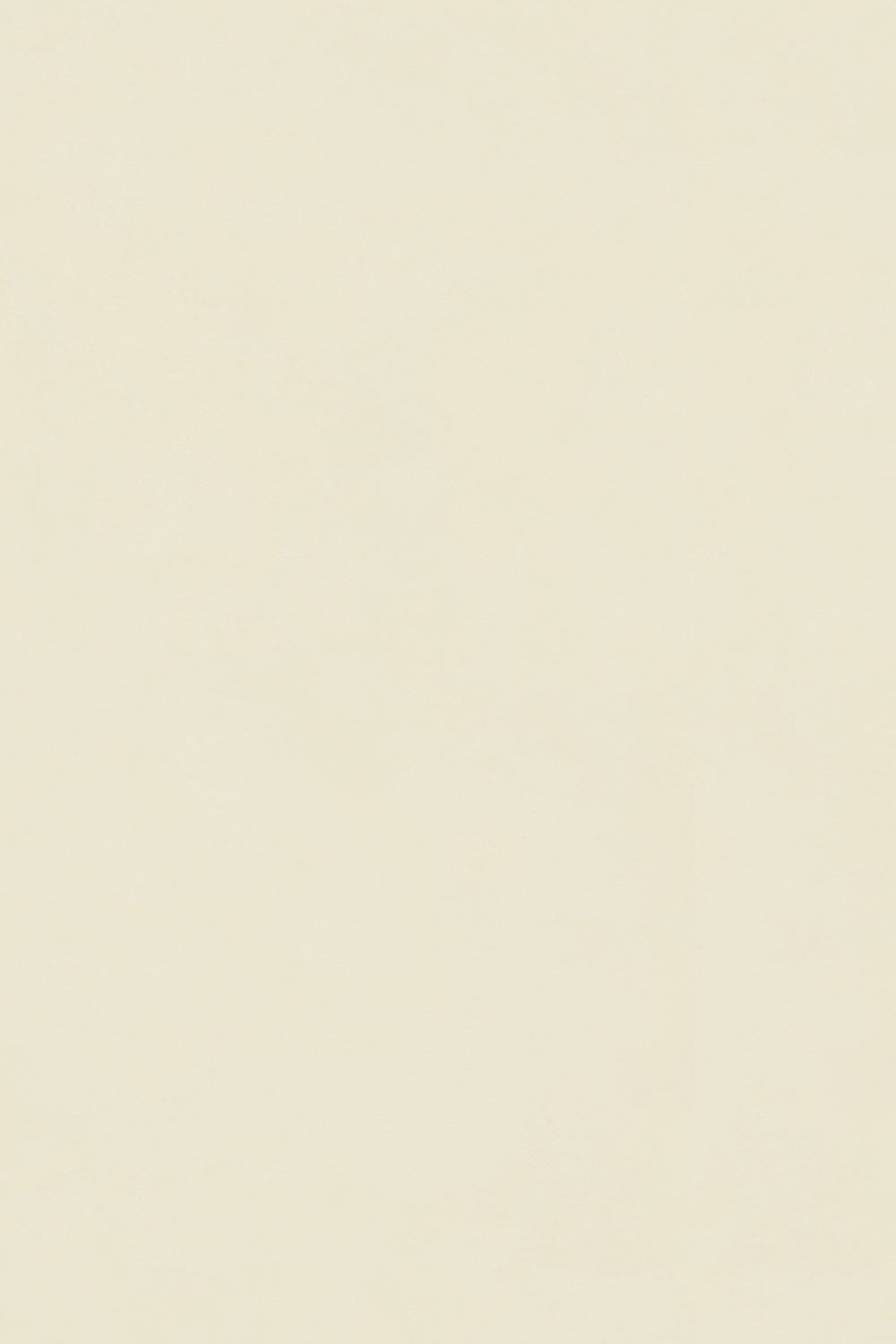 Professional Graduation Photo Backdrop Butter Cream Backdrop UK GTY3-354