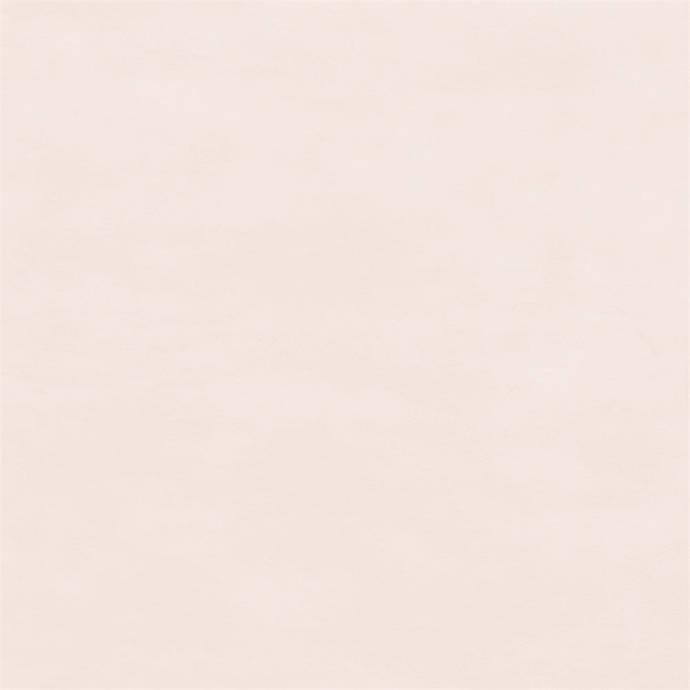 Backdrops For Headshots Neutral Sand Tone Backdrop UK GTY3-356