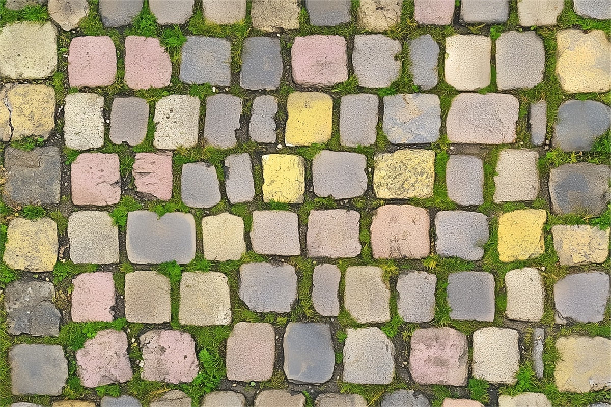 Floor Backdrop Colorful Antique Stone Floor Backdrop UK LXX2-236