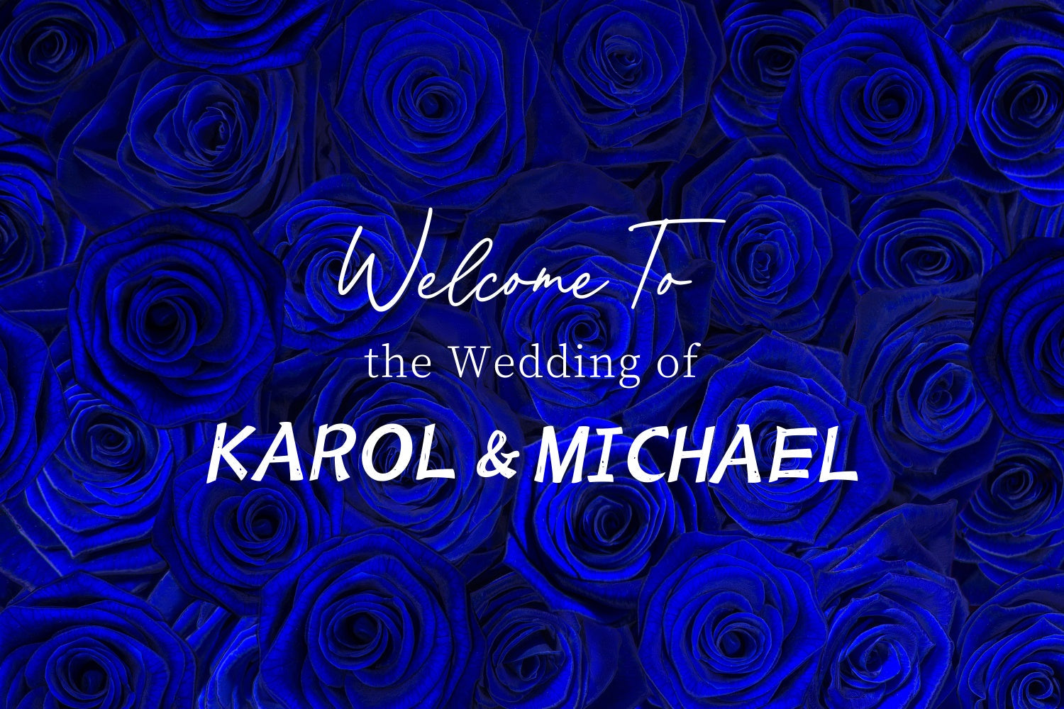 Customized Wedding Backdrop Luxurious Blue Rose Backdrop UK LXX4-93