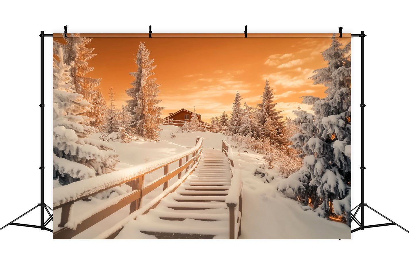 Winter Wonderland Backdrop Amber Cabin Frost Path Winter Backdrops UK LXX510-101
