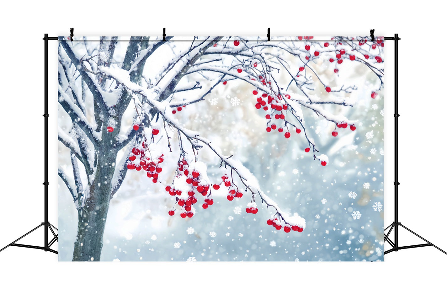 Winter Snow Backdrop Red Berry Snow Branches Winter Photo Backdrops UK LXX510-83