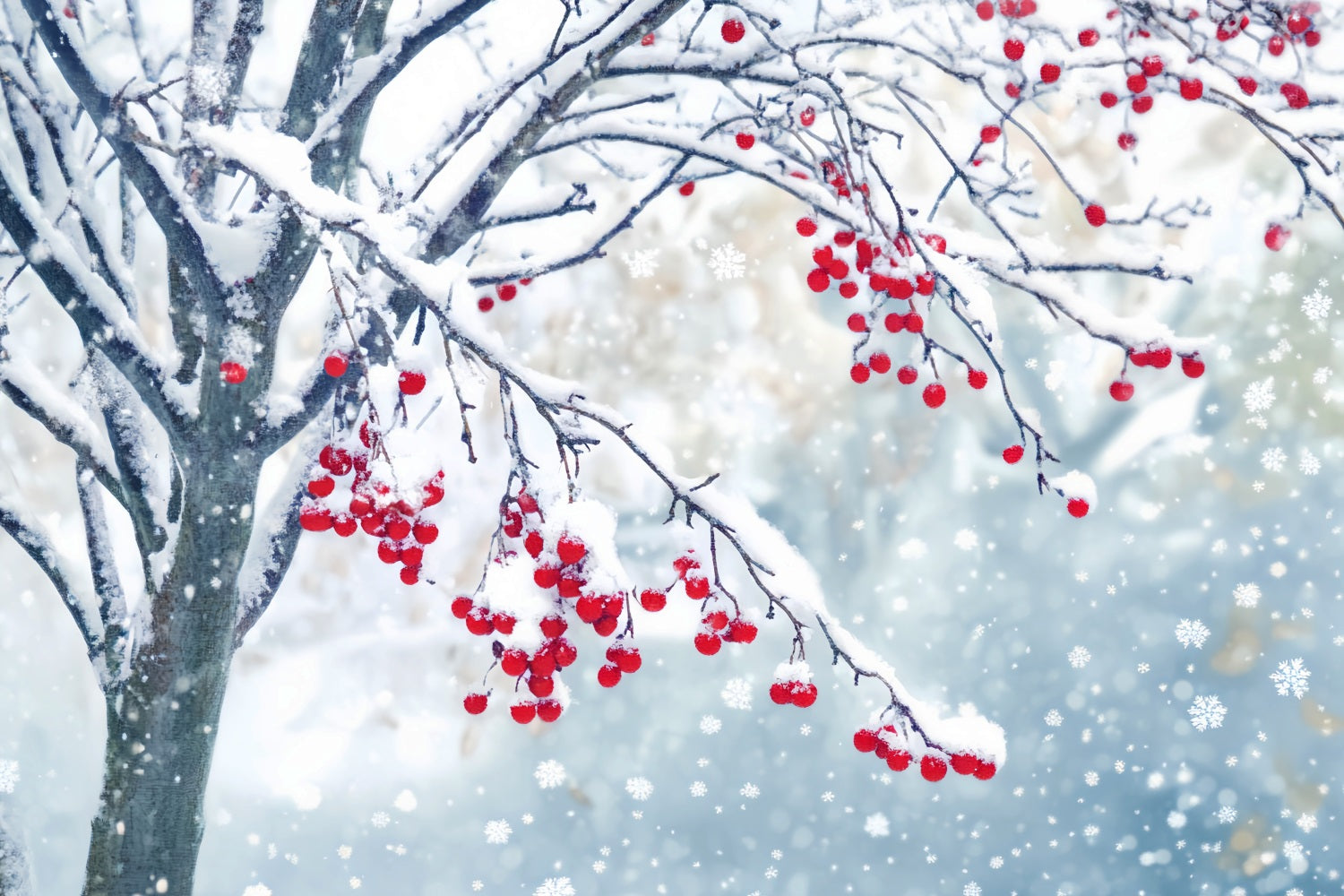 Winter Snow Backdrop Red Berry Snow Branches Winter Photo Backdrops UK LXX510-83