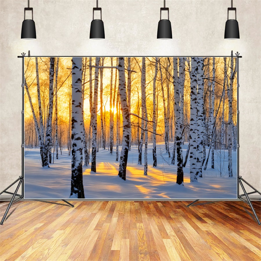 Winter Forest Backdrop Golden Sunrise Birch Wonderland Winter Backdrop UK LXX510-87