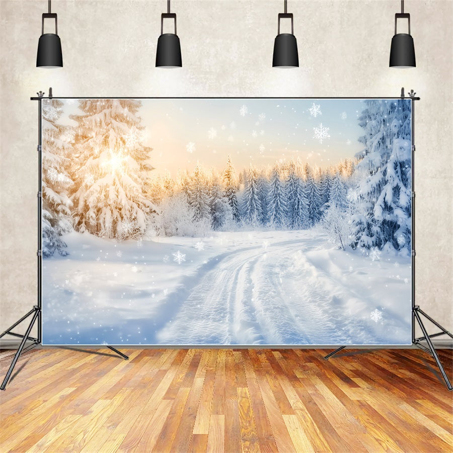 Winter Wonderland Backdrop Sparkling Forest Sunrise Trail Winter Backdrops UK LXX510-90