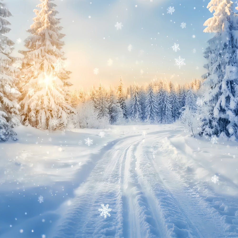 Winter Wonderland Backdrop Sparkling Forest Sunrise Trail Winter Backdrops UK LXX510-90