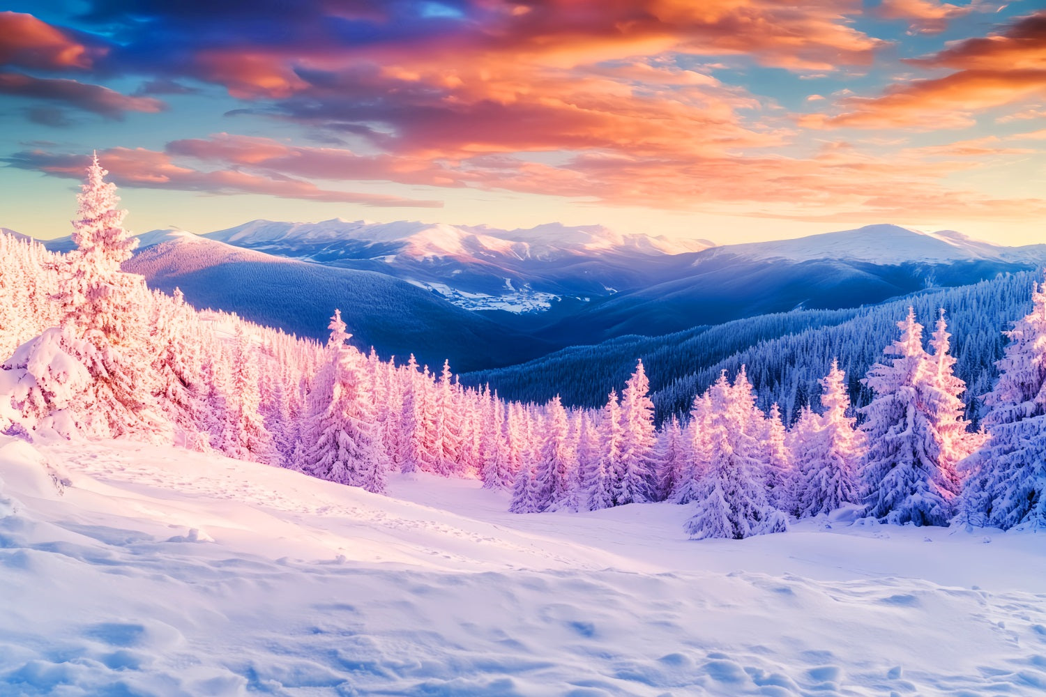 Winter Mountain Backdrop Golden Peaks Frost Valley Winter Backdrops UK LXX510-93