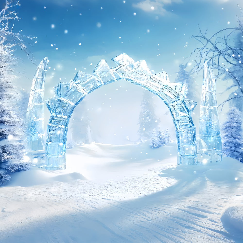 Wonderland Backdrop Crystal Ice Arch Path Winter Photo Backdrops UK LXX510-95