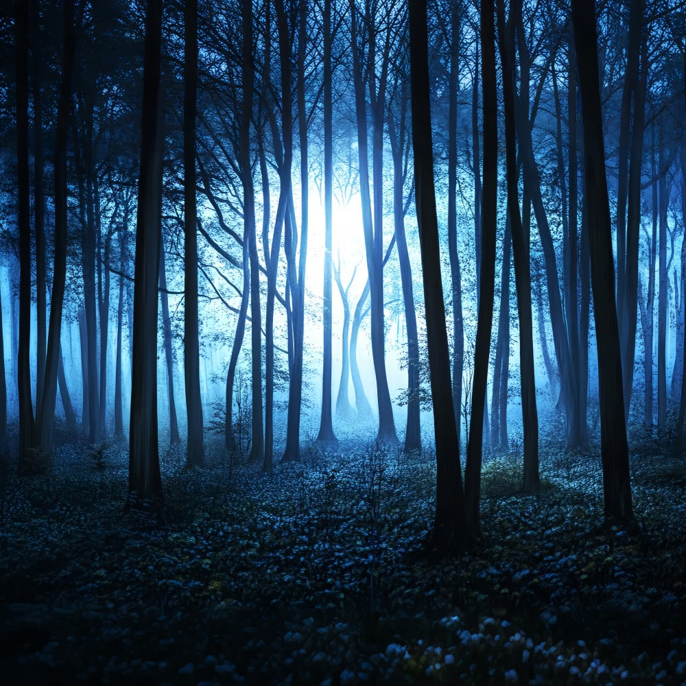 Dark Forest Backdrop Midnight Mist Grove Backdrop UK LXX57-115