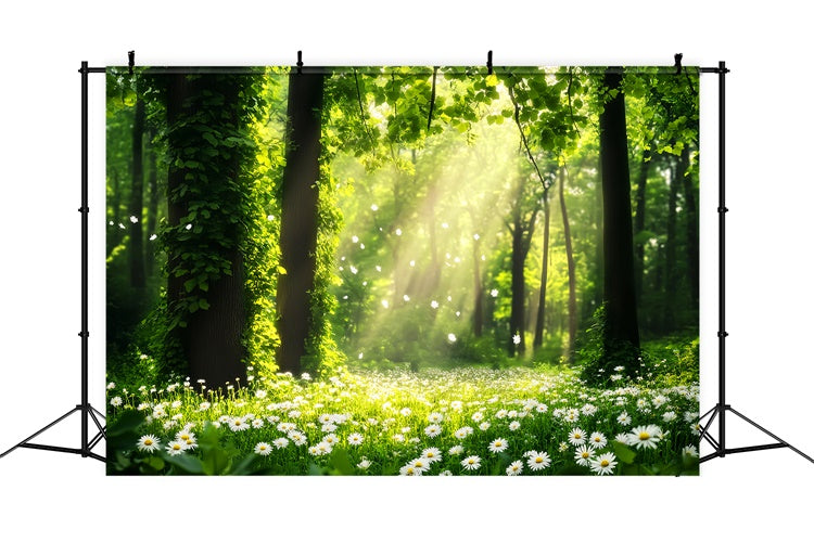 Forest Photography Backdrop Daisy Sunbeam Meadow Backdrop UK LXX57-132