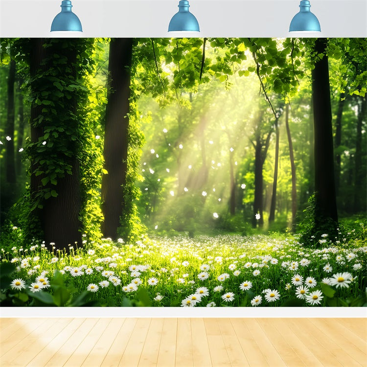 Forest Photography Backdrop Daisy Sunbeam Meadow Backdrop UK LXX57-132
