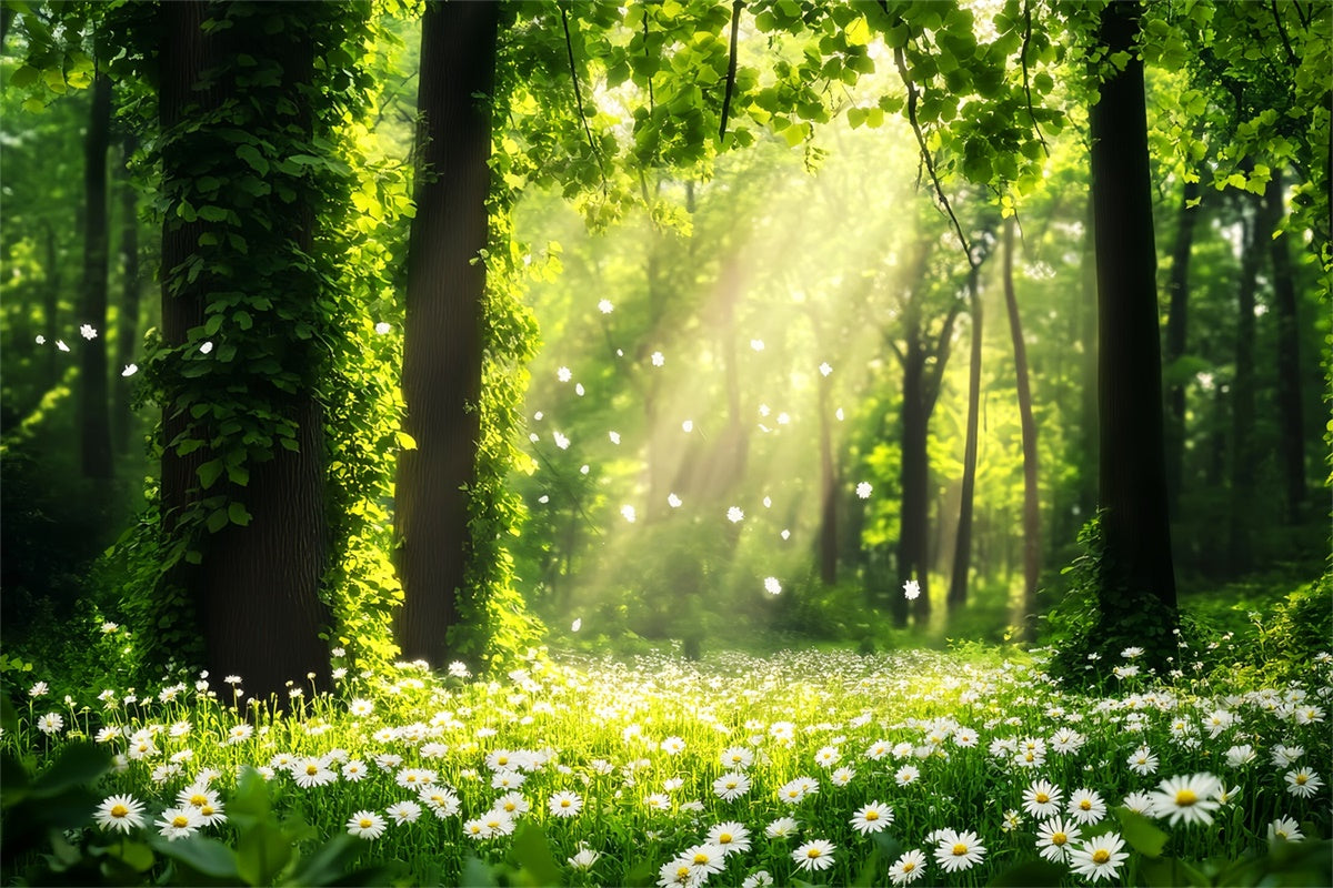 Forest Photography Backdrop Daisy Sunbeam Meadow Backdrop UK LXX57-132