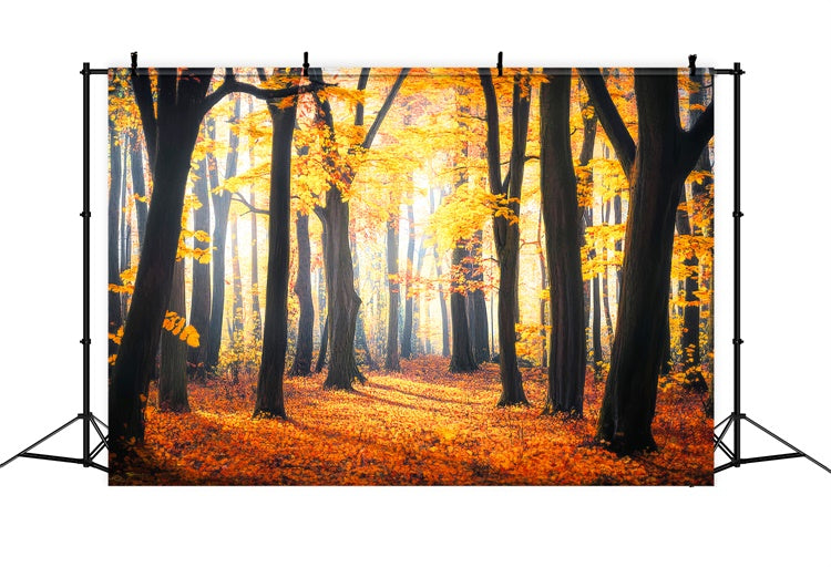 Fall Forest Backdrop Rustic Leaves Woodland Backdrop UK LXX57-149