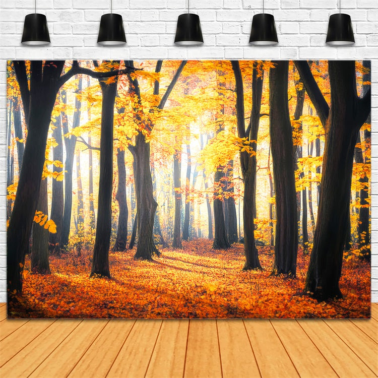 Fall Forest Backdrop Rustic Leaves Woodland Backdrop UK LXX57-149