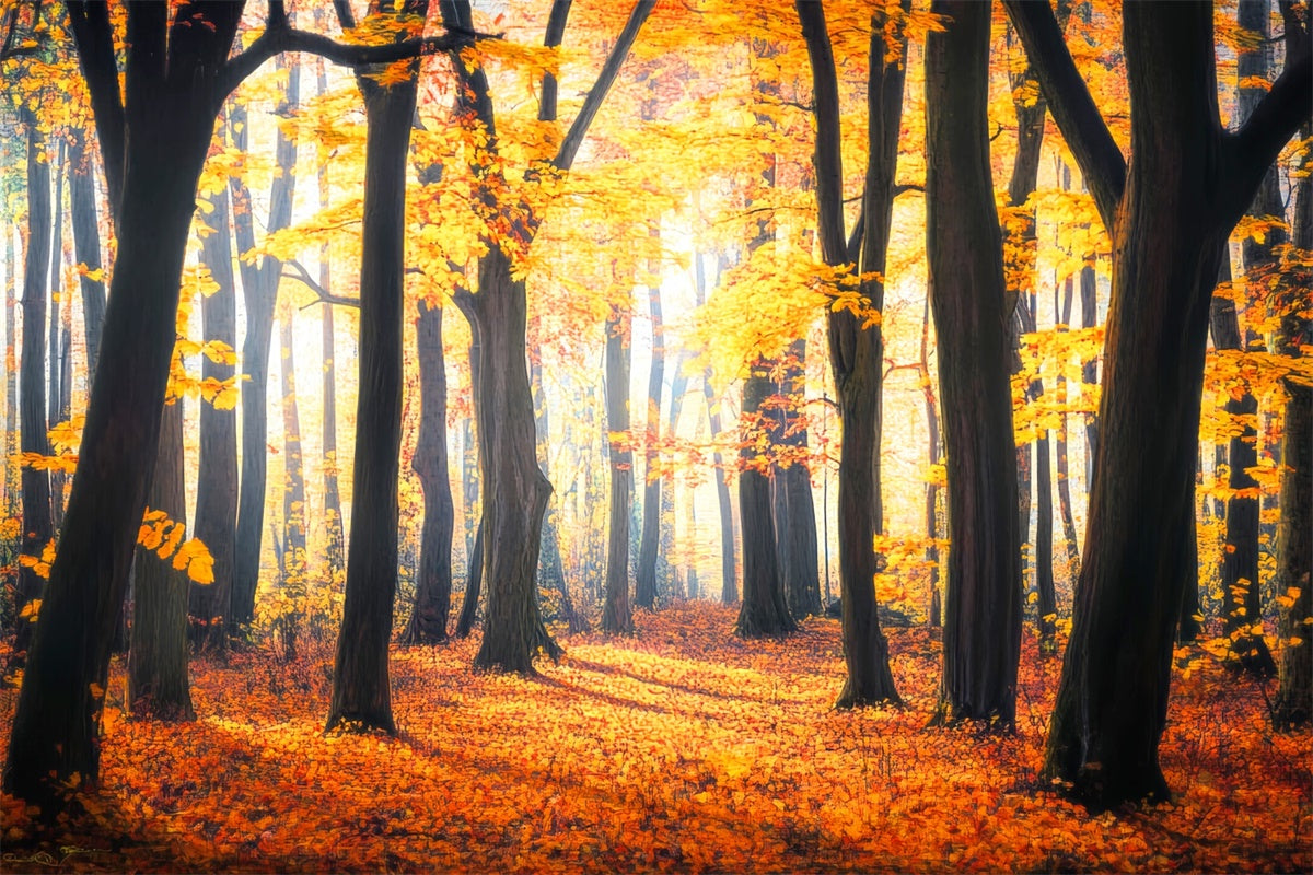 Fall Forest Backdrop Rustic Leaves Woodland Backdrop UK LXX57-149