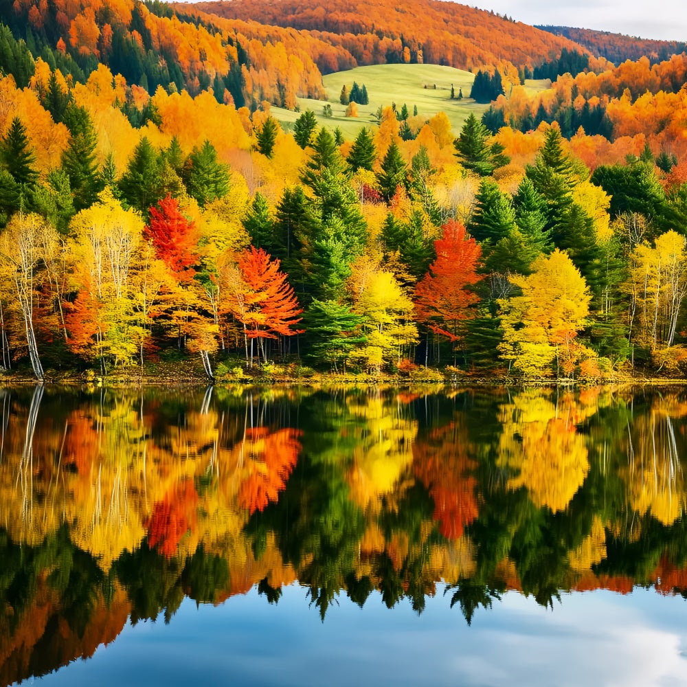 Fall Forest Backdrop Radiance Lake Scene Backdrop UK LXX57-156