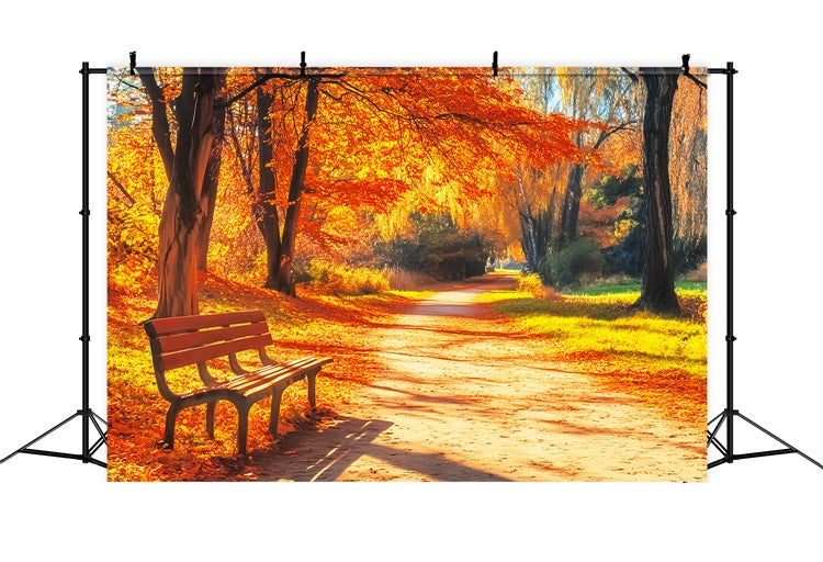 Fall Photoshoot Backdrop Bench Woodland Path Backdrop UK LXX57-164
