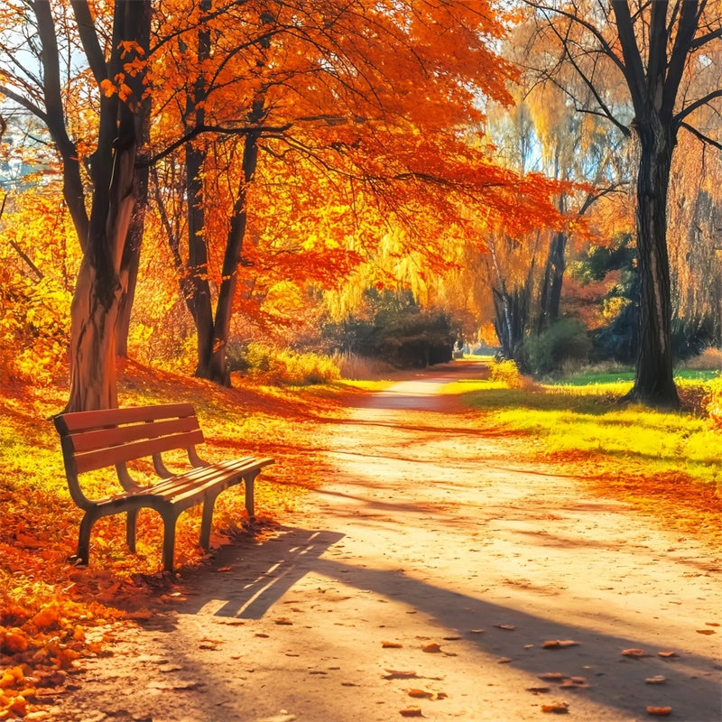 Fall Photoshoot Backdrop Bench Woodland Path Backdrop UK LXX57-164