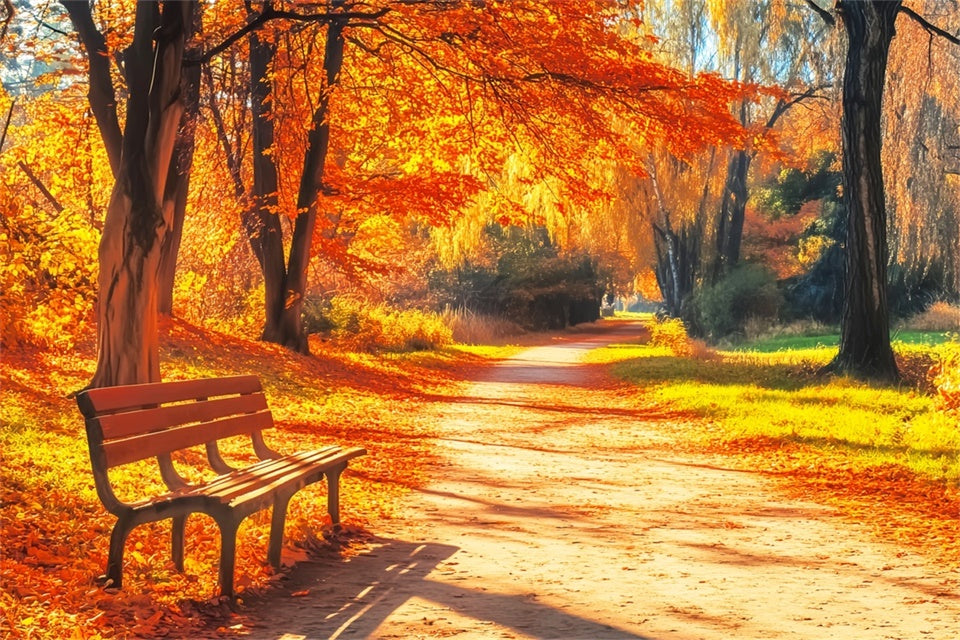 Fall Photoshoot Backdrop Bench Woodland Path Backdrop UK LXX57-164