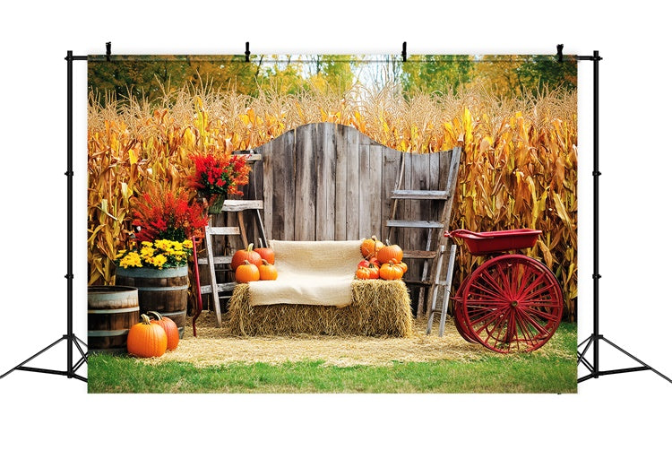 Thanksgiving Backdrop Ideas Cozy Corn Patch Porch Backdrop UK LXX57-321