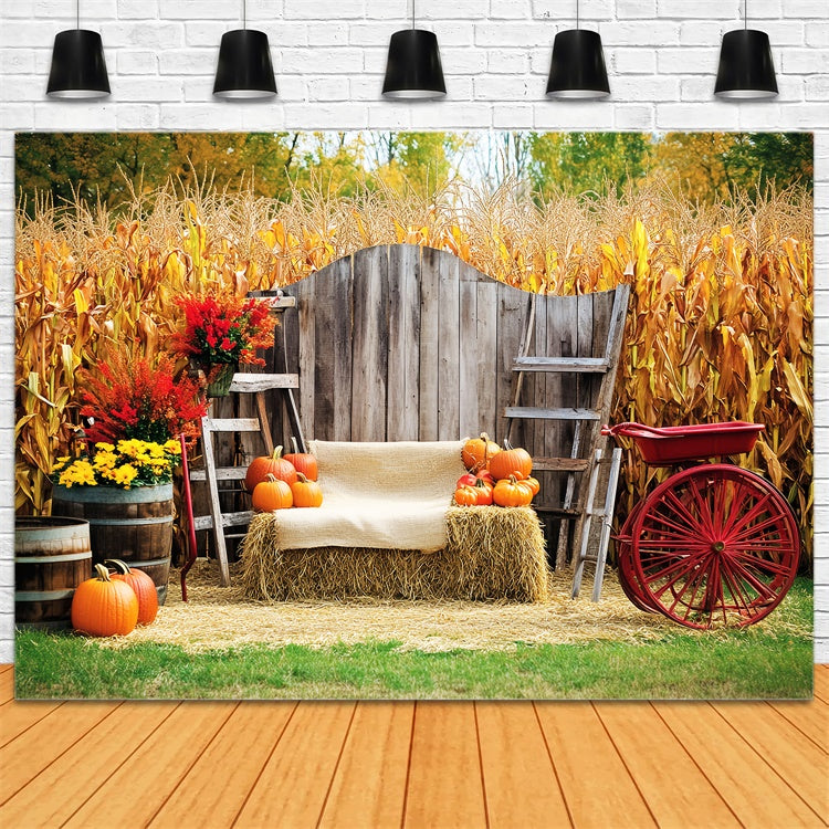 Thanksgiving Backdrop Ideas Cozy Corn Patch Porch Backdrop UK LXX57-321