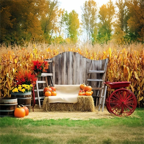 Thanksgiving Backdrop Ideas Cozy Corn Patch Porch Backdrop UK LXX57-321