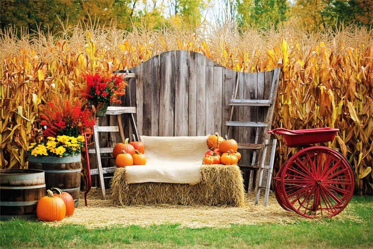 Thanksgiving Backdrop Ideas Cozy Corn Patch Porch Backdrop UK LXX57-321