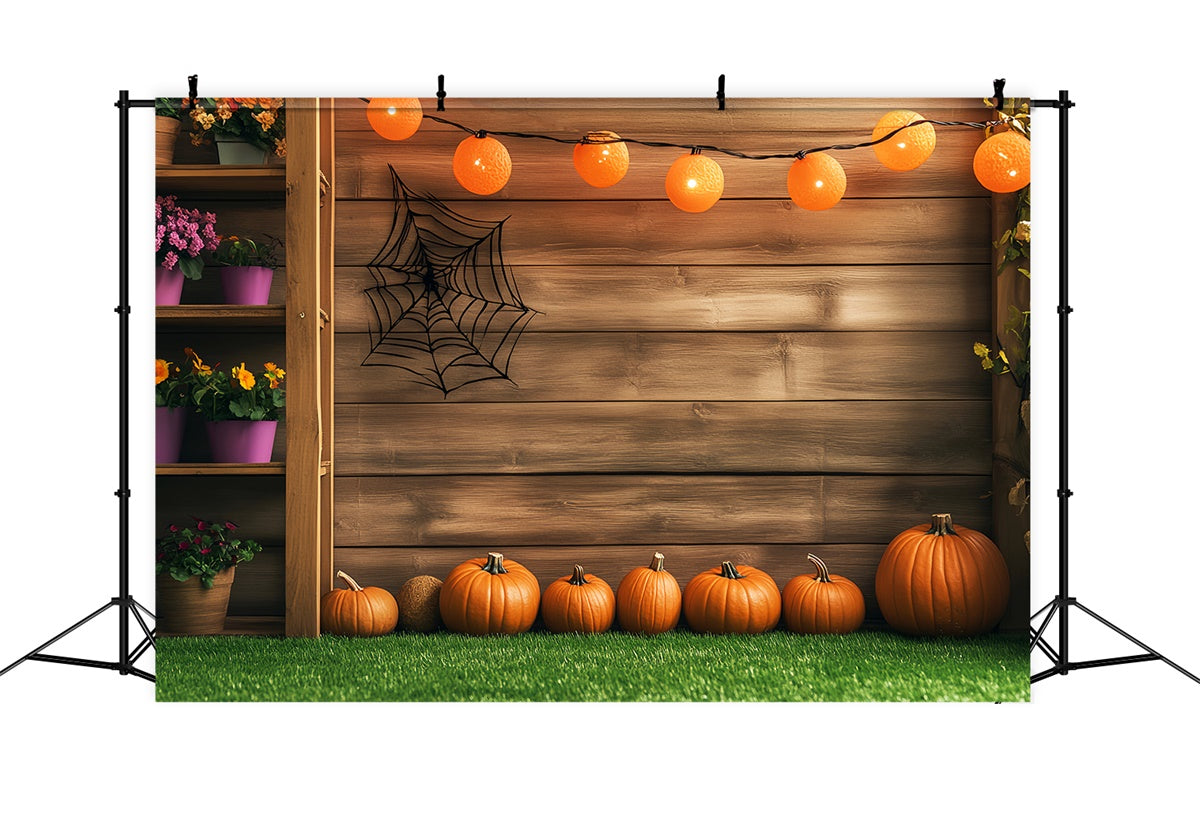 Backdrop For Thanksgiving Spider String Light Porch Backdrop UK LXX57-326
