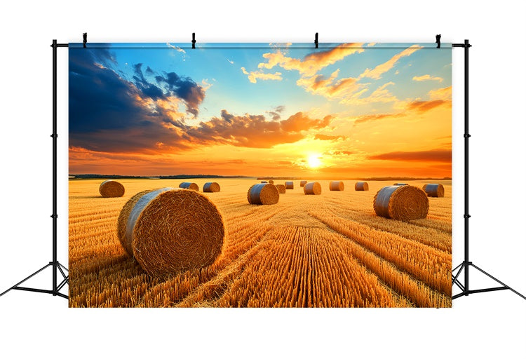 Fall Thanksgiving Backdrop Golden Hayfield Sunset Backdrop UK LXX57-338