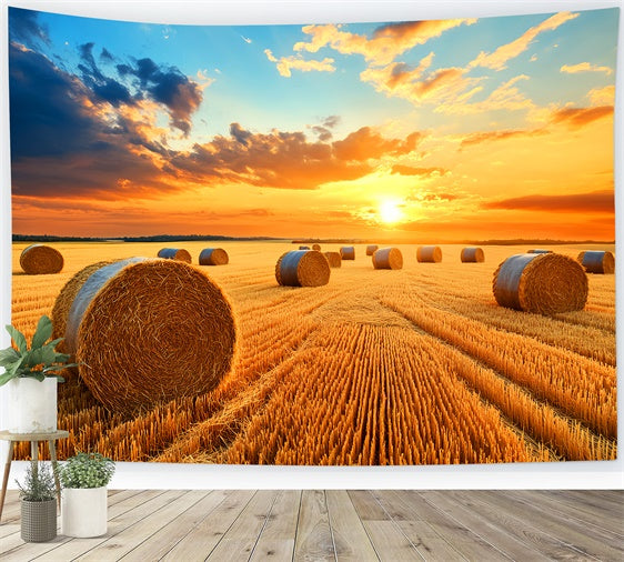 Fall Thanksgiving Backdrop Golden Hayfield Sunset Backdrop UK LXX57-338