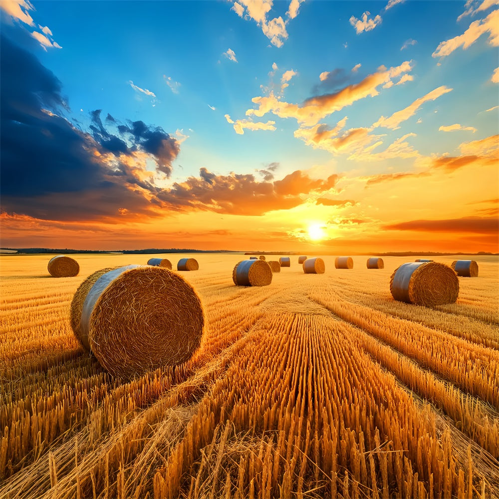Fall Thanksgiving Backdrop Golden Hayfield Sunset Backdrop UK LXX57-338