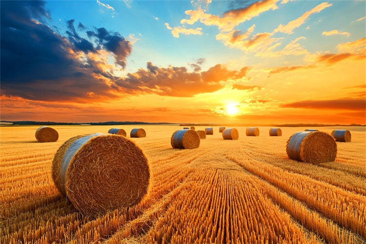 Fall Thanksgiving Backdrop Golden Hayfield Sunset Backdrop UK LXX57-338