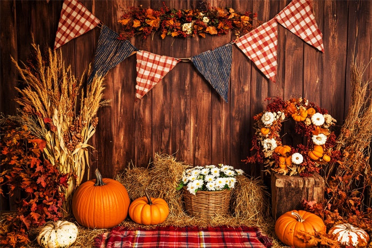 Thanksgiving Photo Backdrop Plaid Banner Harvest Backdrop UK LXX57-352