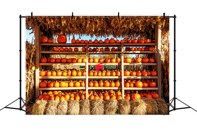 Photography Thanksgiving Backdrop Pumpkin Shed Market Backdrop UK LXX57-354