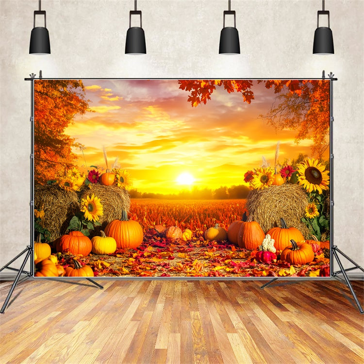 Thanksgiving Backdrop Harvest Field Golden Sunset Backdrop UK LXX57-360