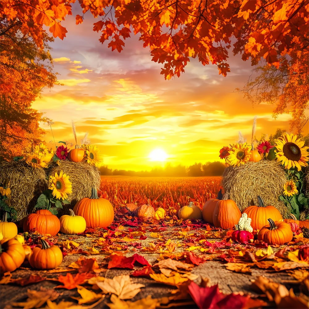 Thanksgiving Backdrop Harvest Field Golden Sunset Backdrop UK LXX57-360