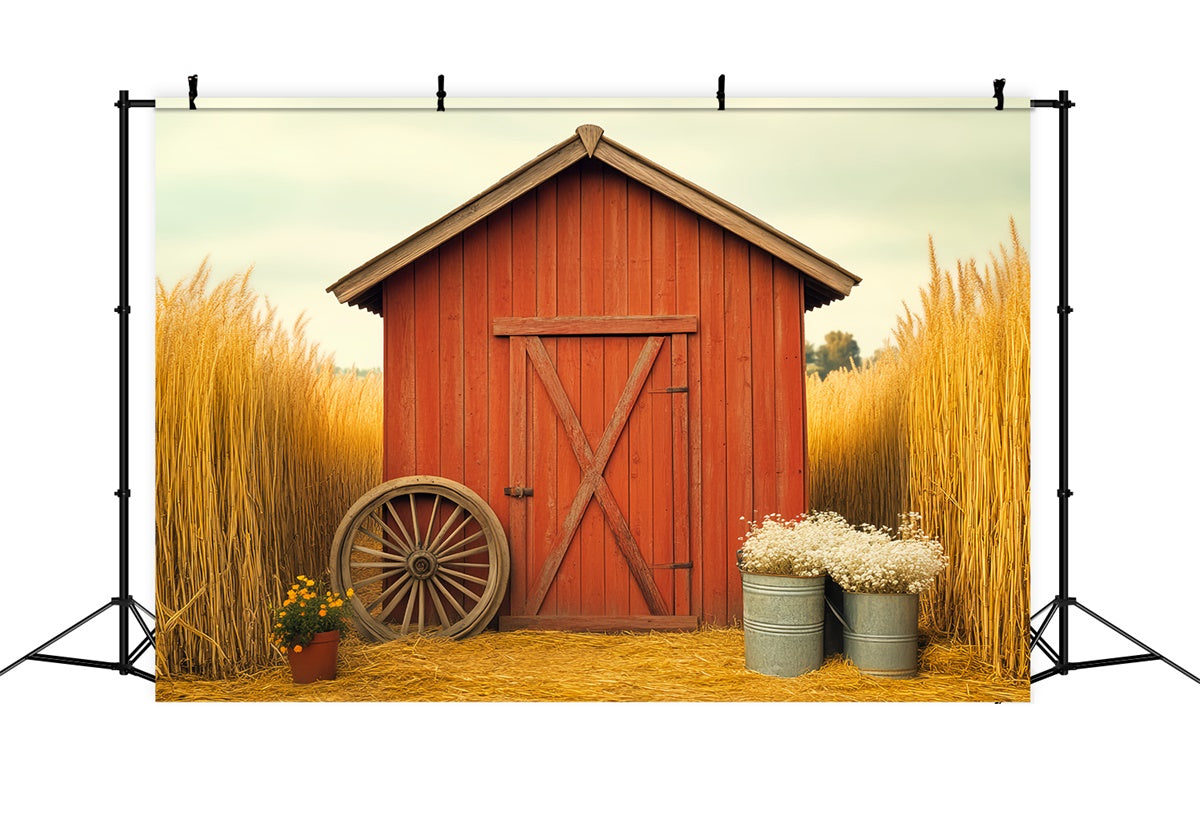 Barn Backdrops Golden Wheatfield Rustic Backdrop UK LXX57-380