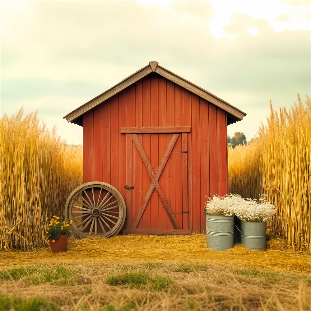 Barn Backdrops Golden Wheatfield Rustic Backdrop UK LXX57-380