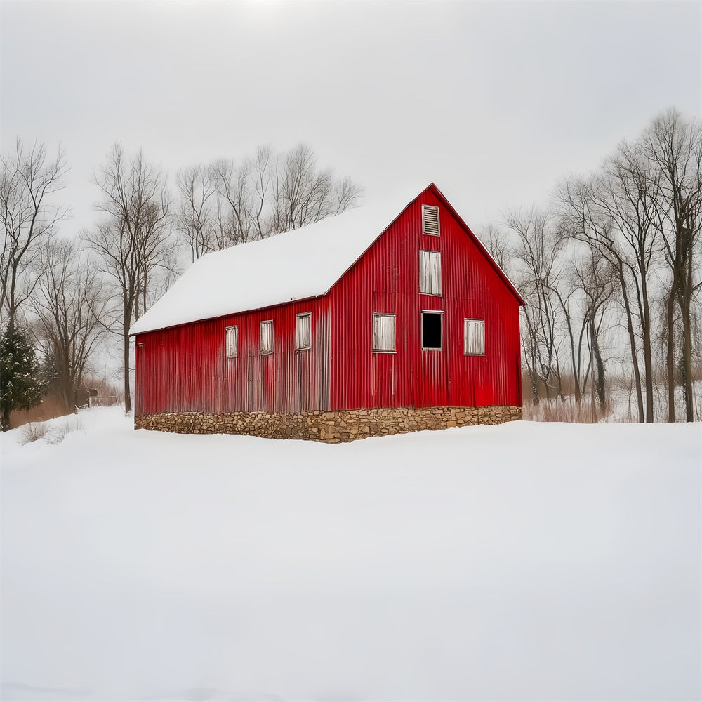 Red Barn Backdrop Rustic Snowfield Barn Backdrop UK LXX57-381