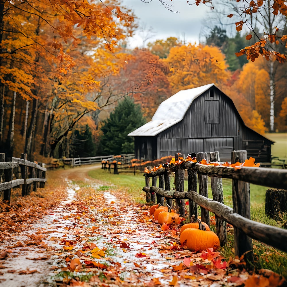 Rustic Barn Backdrop Pumpkin Path Autumn Backdrop UK LXX57-398