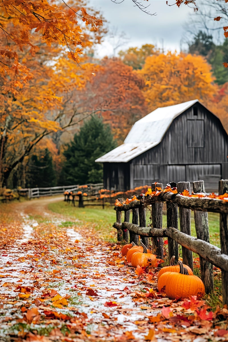 Rustic Barn Backdrop Pumpkin Path Autumn Backdrop UK LXX57-398