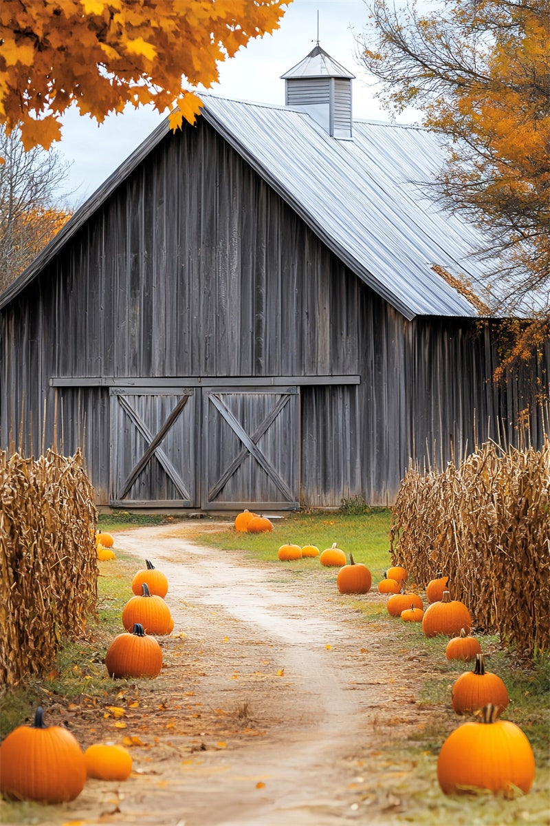 Barn Backdrop Rustic Harvest Trail Fall Backdrop UK LXX57-399