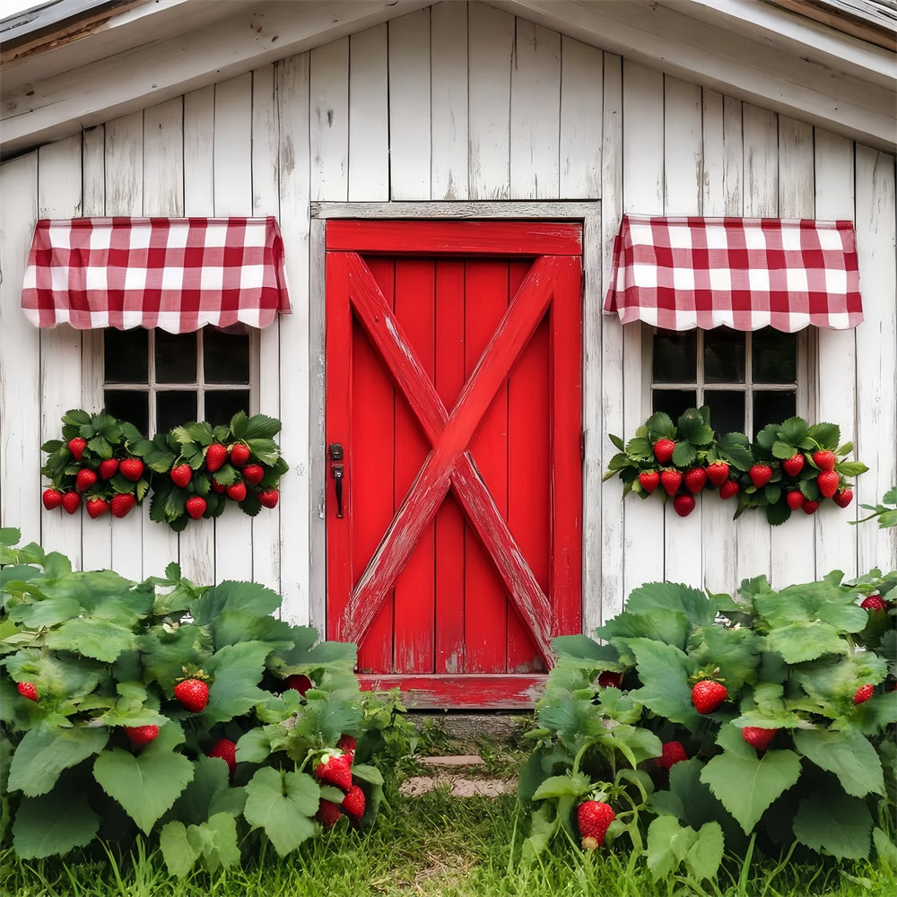 Rustic Barn Backdrop Country Berry Window Backdrop UK LXX57-408