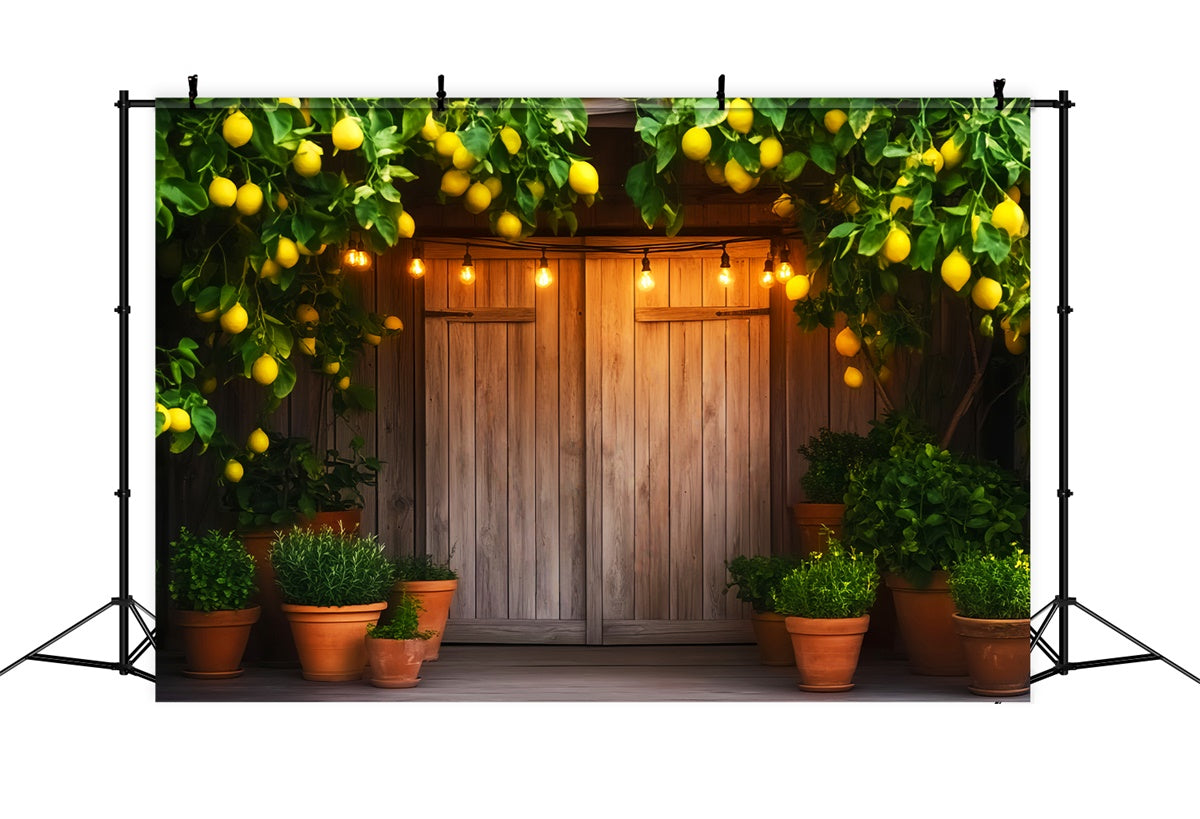 Barn Door Photo Backdrop Lemon Tree Porch Backdrop UK LXX57-413